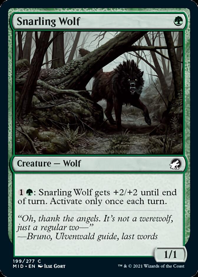 Snalring Wolf fra Innistrad: Midnight Hunt